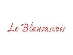 Dépannage informatique Le Blausascois
